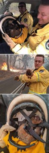 foto-incendi-australia-15