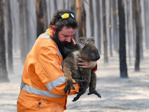 incendi-in-australia